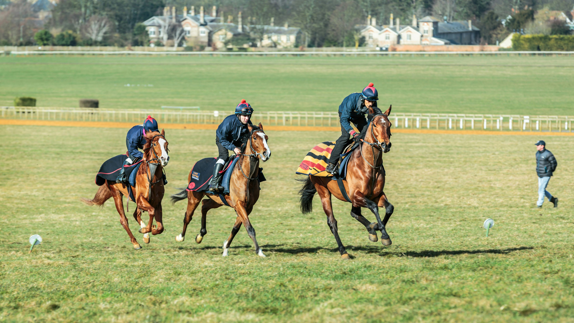East Anglia Horse Stable Builders